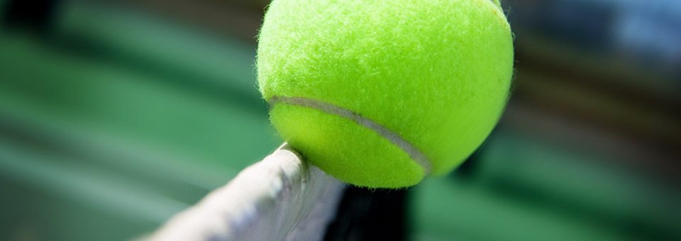 Terra Wortmann Open (ehemals NOVENTI Open) ATP World Tour 500